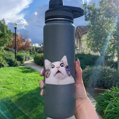 Scaredy Cat Sticker Cat Gift Kitten Funny Decal