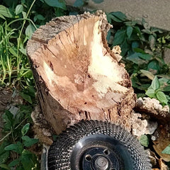 Wood Grinder Wheel Disc 10-16cm Wood Shaping Wheel Grinding Disc