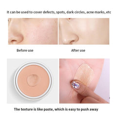 High Coverage 2 Tone Concealer Cream Long Wear Waterproof Liquid Foundation