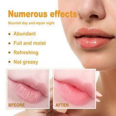 Honey VE Lipstick Hydrates Moisturizes Repairs Prevents Dryness Cracks