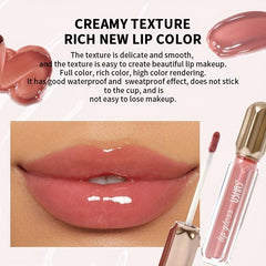 Waterproof Matte Lipstick Liquid Gloss 6 Colors