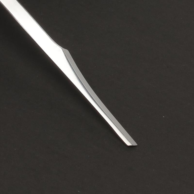 Stainless Steel Pedicure Scrapers Callus Remover Foot File