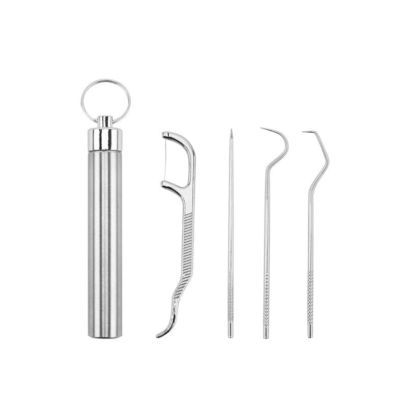 Stainless Steel Toothpicks Pocket Set with Keychain Holder