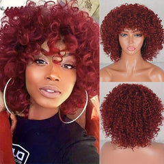 Short Curly Wigs For Women Kinky Curly Wig With Bangs Wigs 25