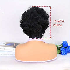25 cm Short Curly Wave Wigs for Women Natural Synthetic Hair Replacement Wigs