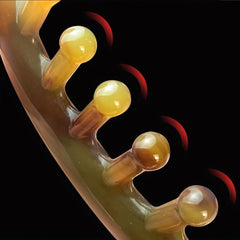 Resin Gua Sha Scraping Tool for Neck Feet Daily Care
