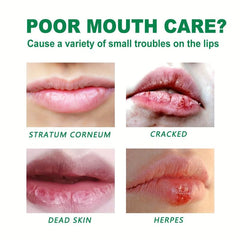 Herbal Lip Balm Repair Lip Anti-Chapping