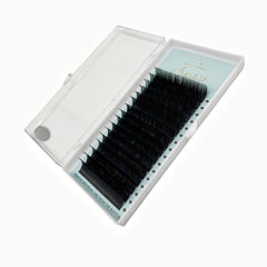 Fan Volume Eyelash Extensions C 0.07 11mm 15mm Mega Volume