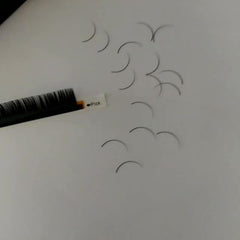 12mm Individual Lashes 0.1mm C Curl Long False Eyelashes