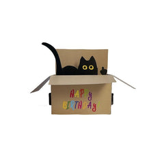 Funny Cat Pop Up Birthday Greeting Card with Envelop & Message Card