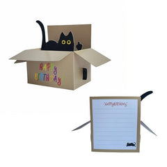 Funny Cat Pop Up Birthday Greeting Card with Envelop & Message Card