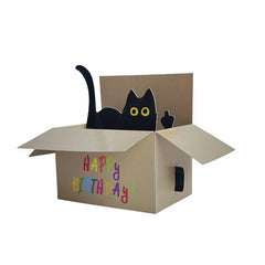 Funny Cat Pop Up Birthday Greeting Card with Envelop & Message Card