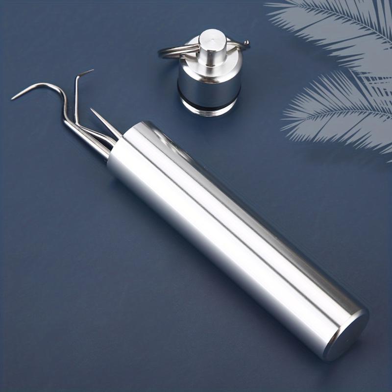 6 Pcs Stainless Steel Toothpick Set with Storage Tube