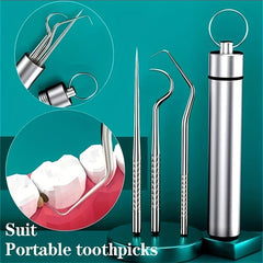 6 Pcs Stainless Steel Toothpick Set with Storage Tube