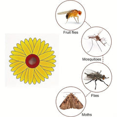 Floral Style Fly Trap Window Sticker, Indoor Fly Catcher, No Toxic, Odor-Free