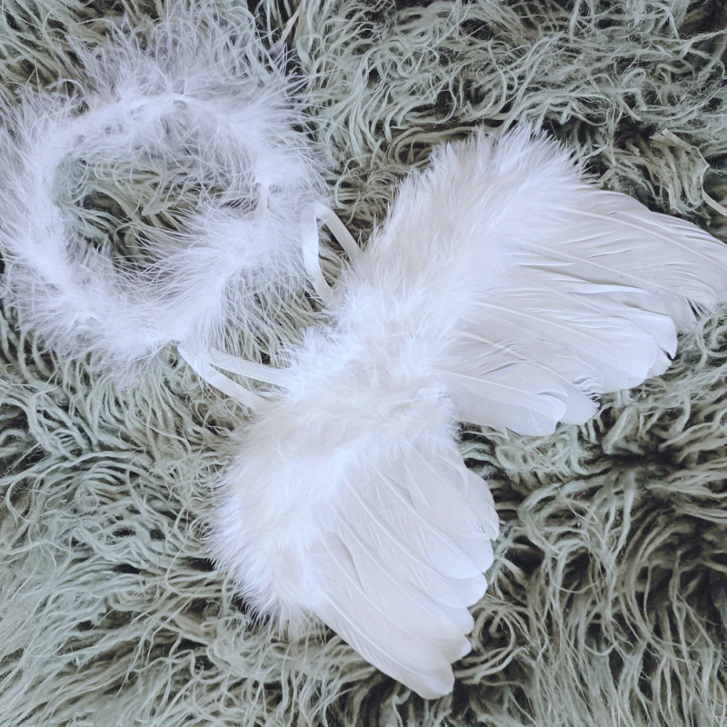 Newborn Angel Feather Wings Photo Props Set