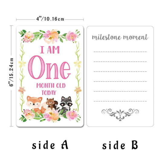 12pcs Newborn Month Sticker Cards - Perfect Baby Shower Gift