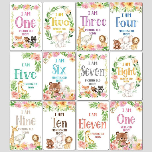 12pcs Newborn Month Sticker Cards - Perfect Baby Shower Gift