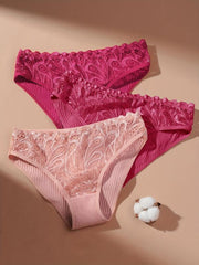 3pcs Lace Bikini Panties Comfy Ribbed Intimates Women's Lingerie