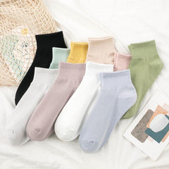 10 Pairs Women's Crew Socks Soft & Comfy All-match Stockings