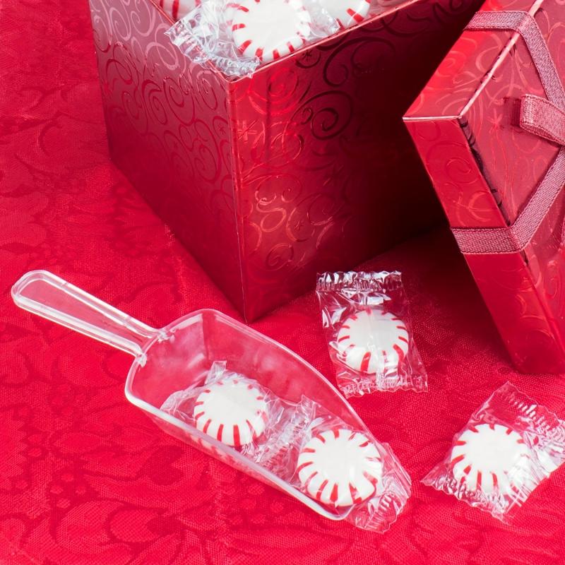 3pcs Mini Acrylic Kitchen Scoops Clear