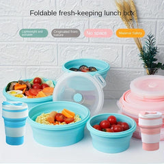 4pcs Collapsible Food Storage Containers with Lids for Camping Bento Lunch Boxes