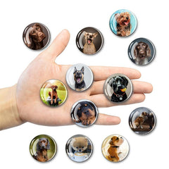 12pcs Glass Dog Fridge Magnets Personalized Decorative Office Kitchen School