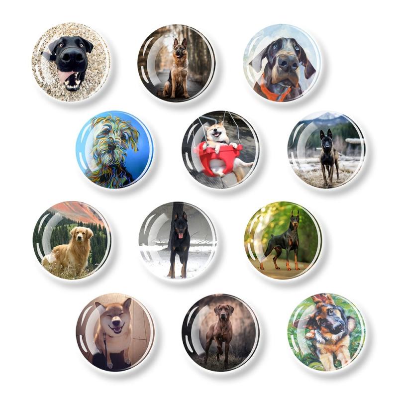 12pcs Glass Dog Fridge Magnets Personalized Decorative Office Kitchen School