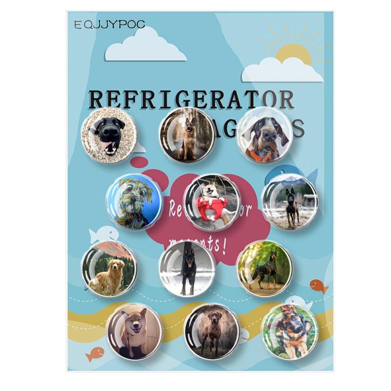 12pcs Glass Dog Fridge Magnets Personalized Decorative Office Kitchen School
