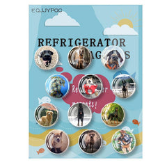 12pcs Glass Dog Fridge Magnets Personalized Decorative Office Kitchen School