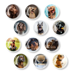 12pcs Glass Dog Fridge Magnets Personalized Decorative Office Kitchen School