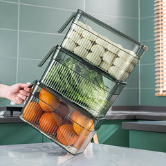 Large Capacity Multipurpose Kitchen Organizer with Handle