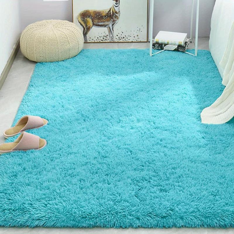 Ultra Soft Plush Rug Non Slip Shaggy Throw Rug for Living Room