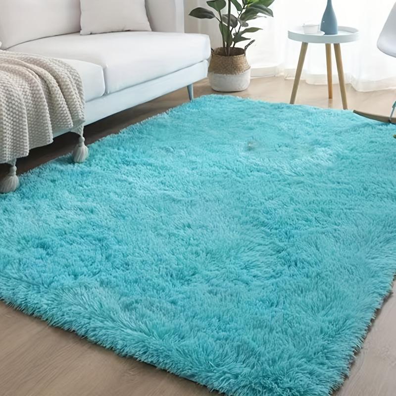 Ultra Soft Plush Rug Non Slip Shaggy Throw Rug for Living Room