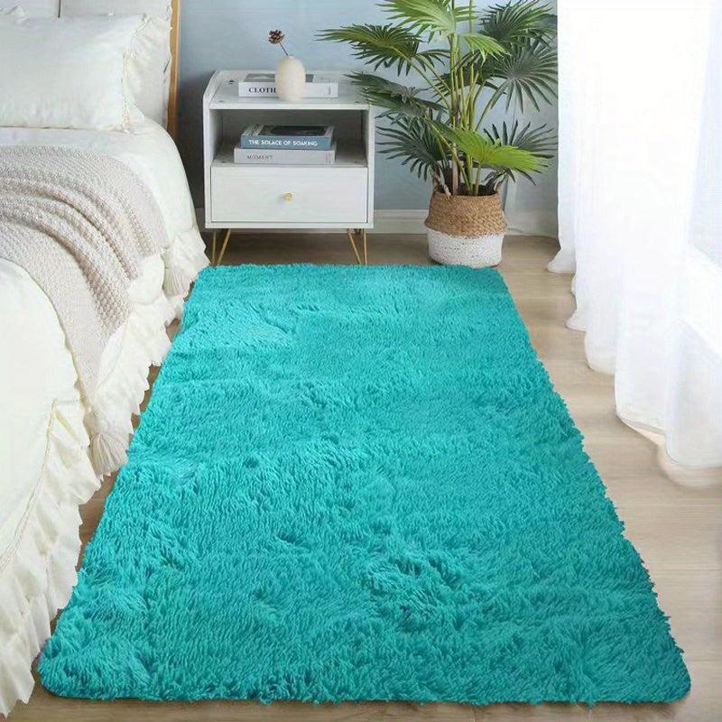 Ultra Soft Plush Rug Non Slip Shaggy Throw Rug for Living Room