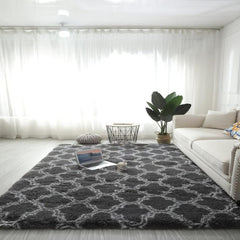 Soft Fluffy Shag Area Rugs for Living Room Bedroom Decor