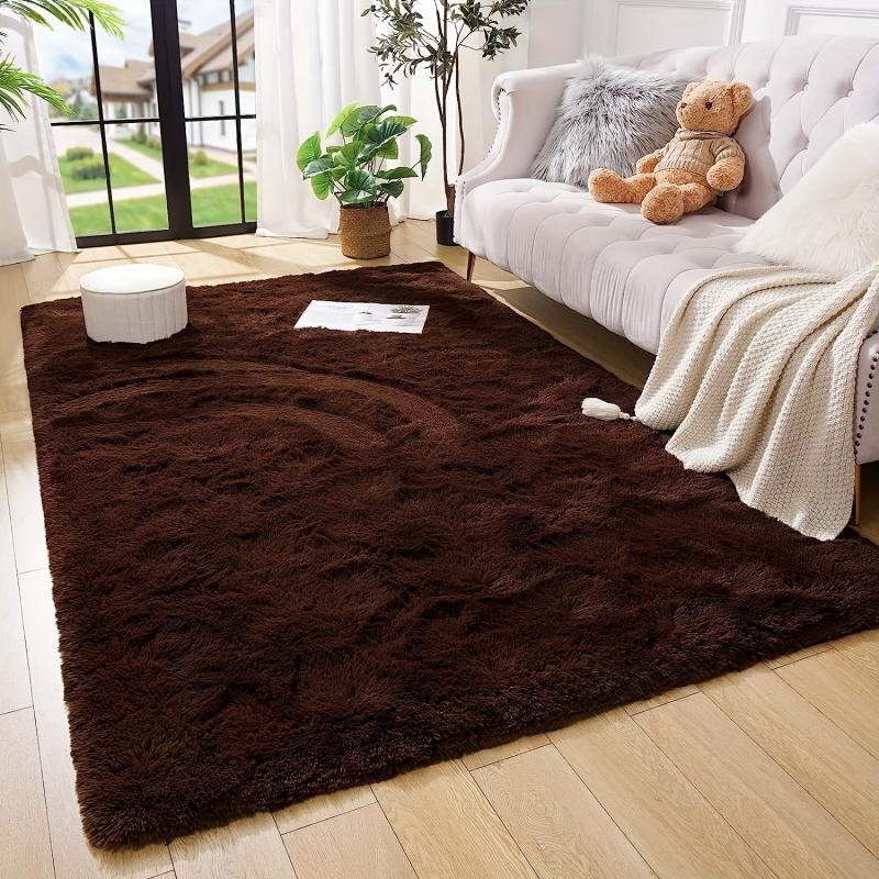 Soft Plush Rug for Living Room and Bedroom 47x70in