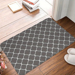 Absorbent Non Slip Carpet for Home Decor and Door Mat
