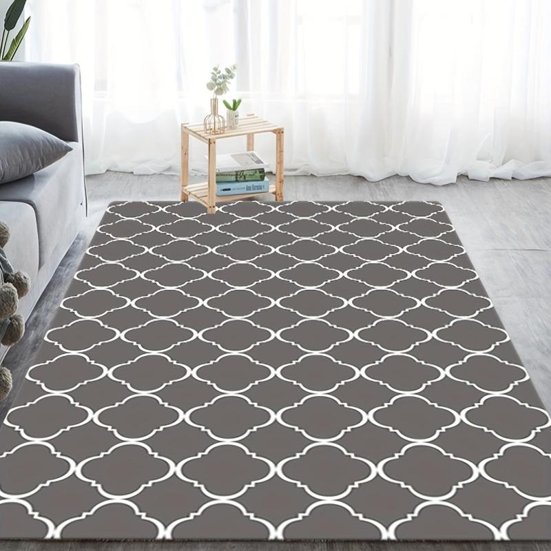 Absorbent Non Slip Carpet for Home Decor and Door Mat