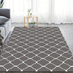 Absorbent Non Slip Carpet for Home Decor and Door Mat