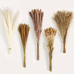 120pcs Dried Reed Decorations Bohemian Wedding Party Decoration