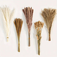 120pcs Dried Reed Decorations Bohemian Wedding Party Decoration