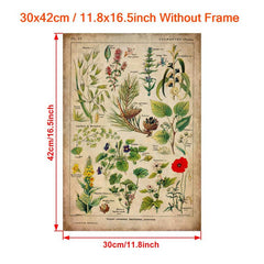 Vintage Medicinal Plants Painting on Canvas - Soothing Herbs and Flowers