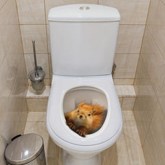3D Squirrel Toilet Sticker Self Adhesive PVC Wall Decor
