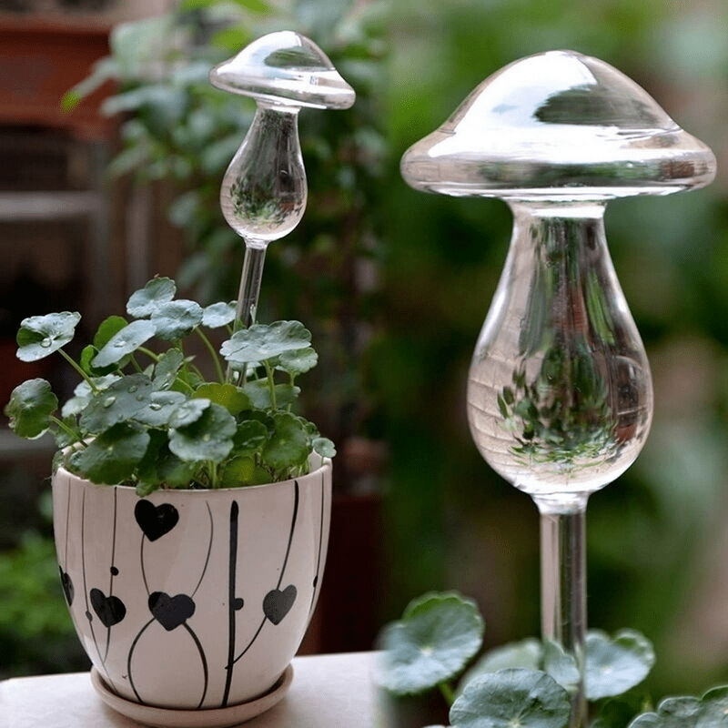 Self-Watering Plant Pots - Grow Healthy Houseplants