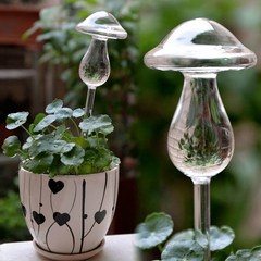 Self-Watering Plant Pots - Grow Healthy Houseplants