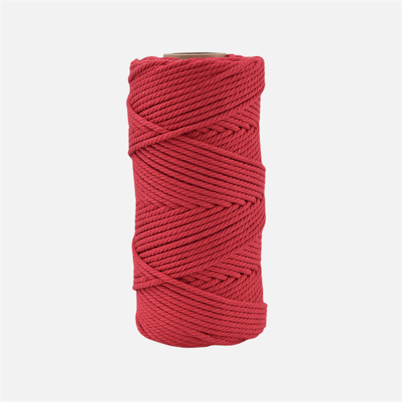 3mm X 109 Yards Colorful Twisted Rope Cotton Rope Macrame Yarn