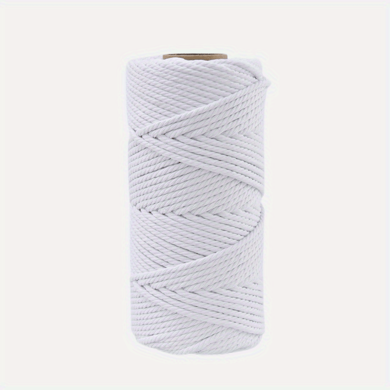 3mm X 109 Yards Colorful Twisted Rope Cotton Rope Macrame Yarn