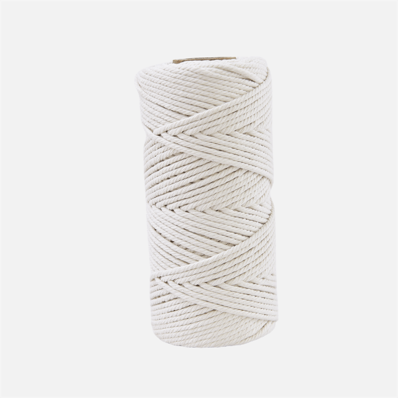 3mm X 109 Yards Colorful Twisted Rope Cotton Rope Macrame Yarn