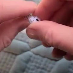 Ring Sizer Measuring Tool Finger Size Gauge Clear Jewelry Sizing 17 Rings Size